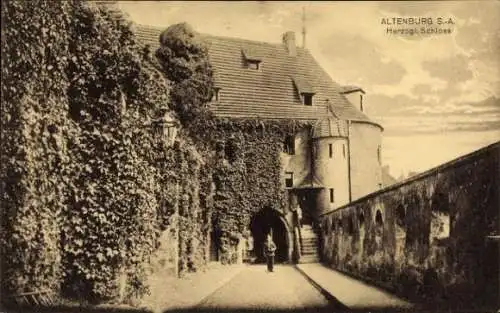 Ak Altenburg (S.A.) in Thüringen, Herzogliches Schloss