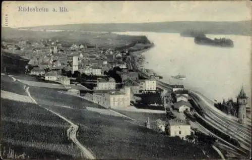 Ak Rüdesheim am Rhein, Gesamtansicht