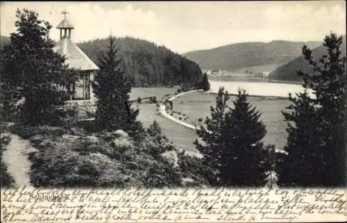 Ak Schluchsee im Schwarzwald, Gesamtansicht