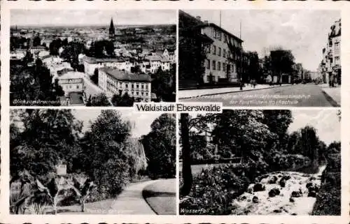 Ak Eberswalde im Kreis Barnim, Blick vom Drachenkopf, Kreuzstraße, Holzforschungsinstitut