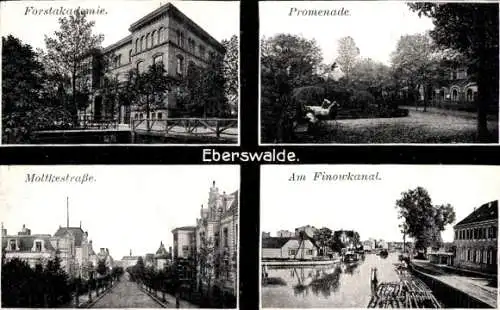 Ak Eberswalde in Brandenburg, Forstakademie, Promenade, Moltkestraße, Finowkanal