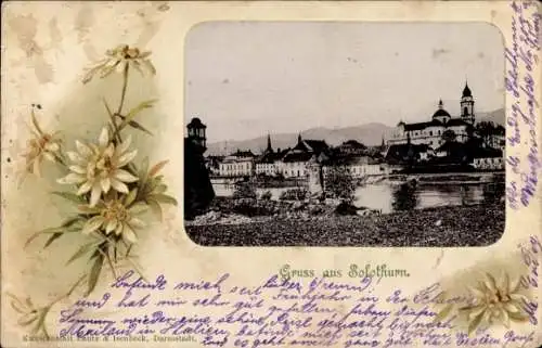 Ak Solothurn Stadt Schweiz, Gesamtansicht, Blumen
