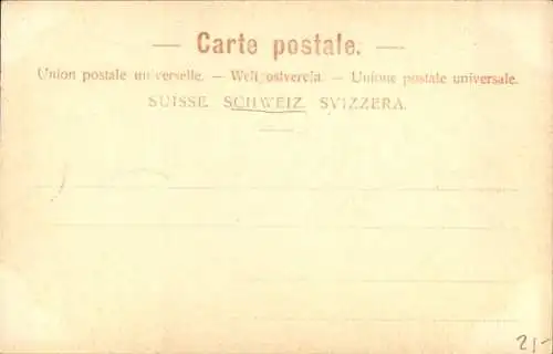 Ak Rorschach Kt. St. Gallen Schweiz, Gesamtansicht