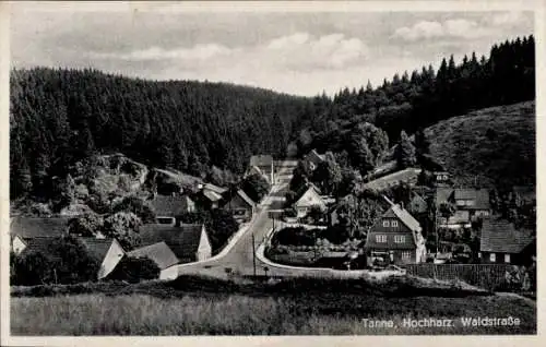 Ak Tanne Oberharz am Brocken, Waldstraße