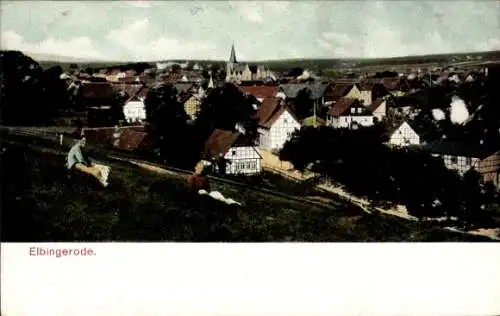 Ak Elbingerode Oberharz am Brocken, Panorama