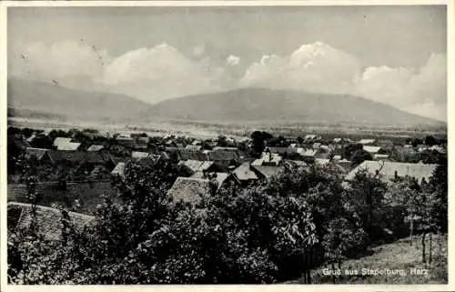 Ak Stapelburg Nordharz Sachsen Anhalt, Panorama