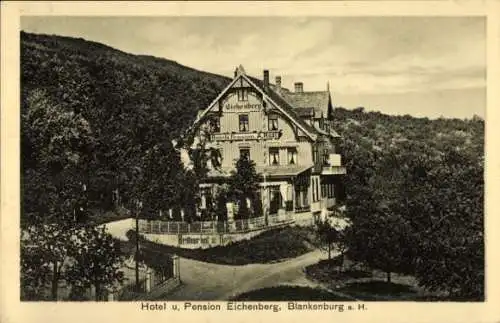 Ak Blankenburg am Harz, Hotel und Pension Eichenberg