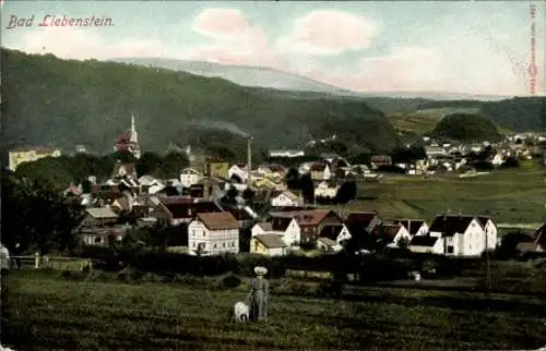 Ak Bad Liebenstein im Wartburgkreis, Panorama vom Ort