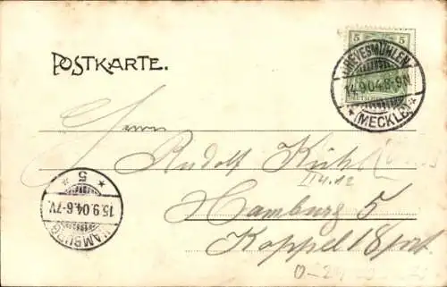 Ak Grevesmühlen in Mecklenburg, Totalansicht
