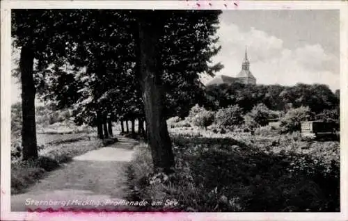 Ak Sternberg in Mecklenburg, Promenade am See