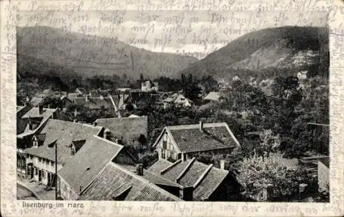 Ak Ilsenburg im Harz, Gesamtansicht