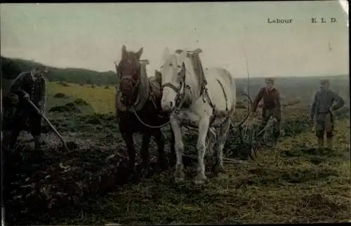 Ak Landwirtschaft, Pflug, Bauern, Pferde