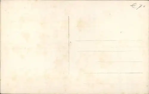 Künstler Portrait zweier Tigerkatzen