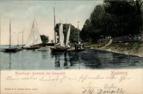 Ak Magdeburg an der Elbe, Magdeburger Yachtclub bei Salzquelle, Boote