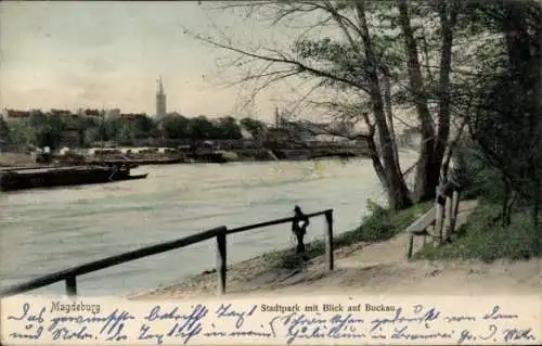 Ak Magdeburg an der Elbe, Stadtpark, Buckau