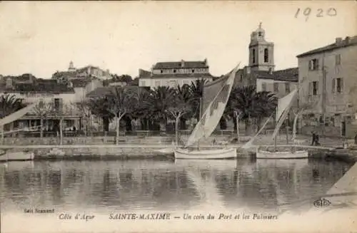 Ak Sainte Maxime Var, Hafen, Palmen