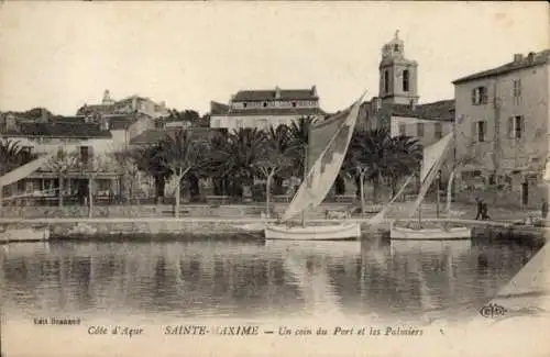 Ak Sainte Maxime Var, Hafen, Palmen