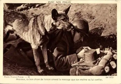 Ak Avec nos Poilus, chien de liaison, Meldehund, französischer Soldat schreibt Nachricht, II. WK