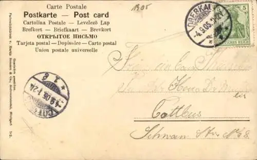 Ak Rote Kirschen an einem Zweig