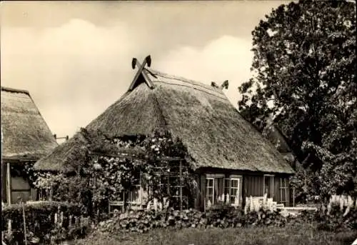 Ak Ostseebad Zingst, Wohnhaus