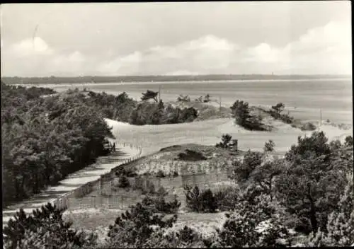 Ak Ostseebad Prerow auf dem Darß, Blick von der Hohen Düne