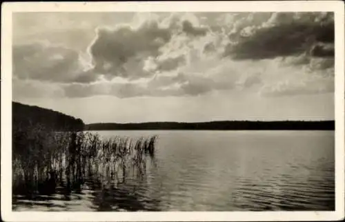 Ak Angermünde in der Uckermark, Wolletzsee