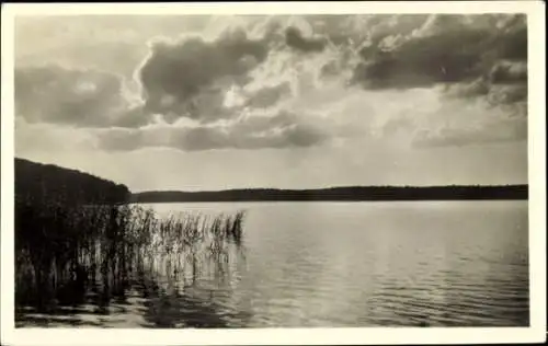 Ak Angermünde in der Uckermark, Wolletzsee