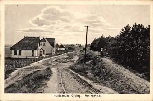 Ak Nordseebad Sankt Peter Ording, Gehölz, Straße