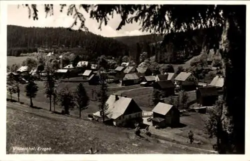 Ak Wildenthal Eibenstock im Erzgebirge, Gesamtansicht