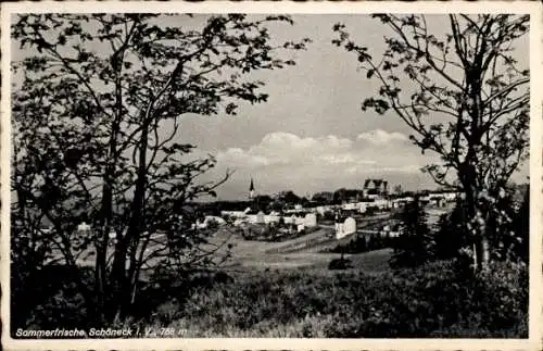 Ak Schöneck im Vogtland, Gesamtansicht