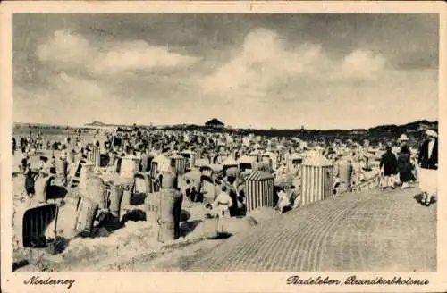 Ak Nordseebad Norderney Ostfriesland, Strand, Strandkorbkolonie