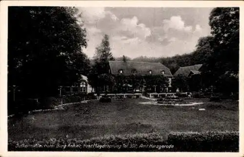 Ak Mägdesprung Harzgerode am Harz, Selkemühle, Hotel Burg Anhalt