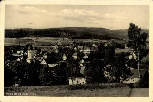 Ak Bad Brambach im Vogtland, Gesamtansicht