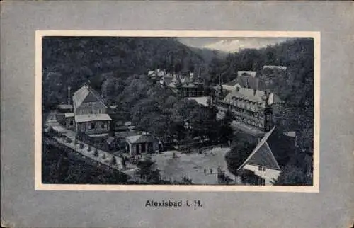 Ak Alexisbad Harzgerode am Harz, Teilansicht