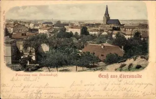 Ak Eberswalde in Brandenburg, Panorama vom Drachenkopf