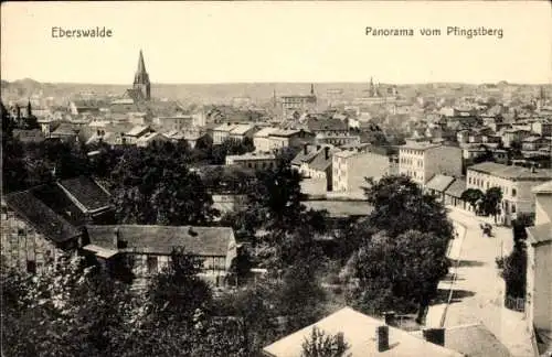 Ak Eberswalde, Panorama vom Pfingstberg