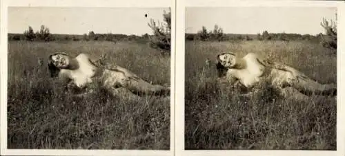 Stereo Foto: Gerhard Riebicke Erotik, Frauenakt, auf einer Wiese liegend