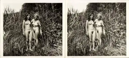 Stereo Foto: Gerhard Riebicke Erotik, Frauenakt, zwei Frauen stehend im Schilf
