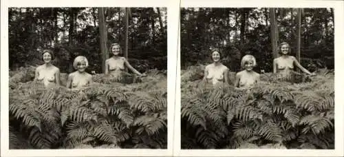 Stereo Foto: Gerhard Riebicke Erotik, Nackte Frauen im Gebüsch, Wald, Frauenakt