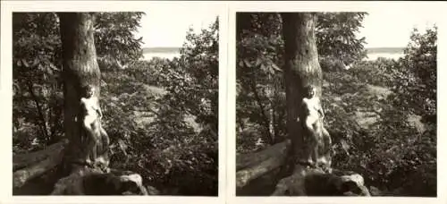 Stereo Foto: Gerhard Riebicke Erotik, Frauenakt, an einen Baum gelehnt