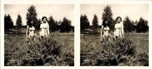 Stereo Foto: Gerhard Riebicke Erotik, Nackte Frauen, Strauch, Wiese, Frauenakt