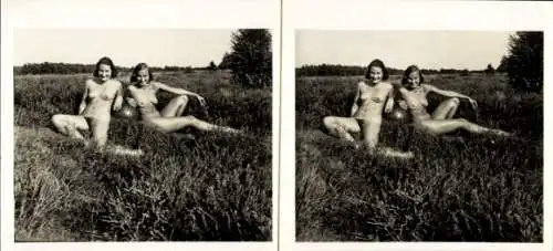 Stereo Foto: Gerhard Riebicke Erotik, Nackte Frauen auf der Wiese, Frauenakt