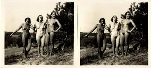 Stereo Foto: Gerhard Riebicke Erotik, Frauenakt, drei Frauen in der Natur stehend