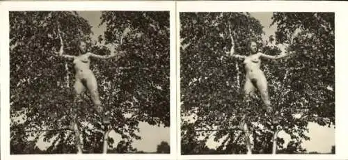 Stereo Foto: Gerhard Riebicke Erotik, Nackte Frau auf einem Baum kletternd, Frauenakt