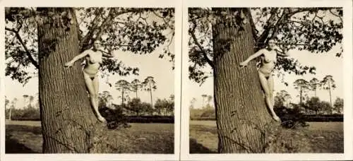 Stereo Foto: Gerhard Riebicke Erotik, Frauenakt, an einen Baum gelehnt stehend