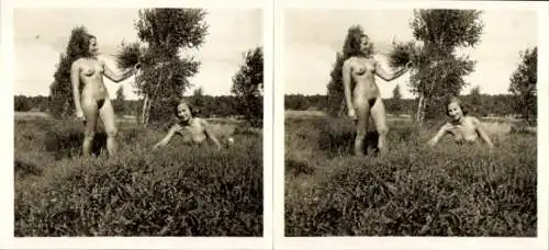 Stereo Foto: Gerhard Riebicke Erotik, Zwei nackte Frauen auf der Wiese, Frauenakt