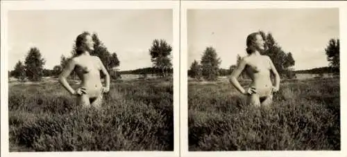 Stereo Foto: Gerhard Riebicke Erotik, Nackte Frau, Frauenakt, Busen, Wiese, Natur