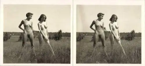 Stereo Foto: Gerhard Riebicke Erotik, Zwei nackte Frauen, Frauenakt, Wiese, Natur