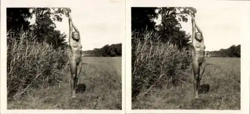 Stereo Foto: Gerhard Riebicke Erotik, Nackte Frau posiert auf der Wiese, Frauenakt