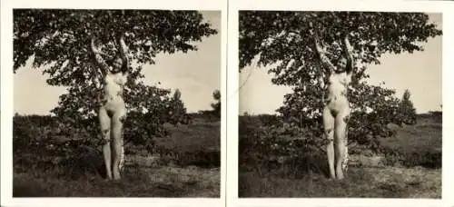 Stereo Foto: Gerhard Riebicke Erotik, Frauenakt, stehend vor einem Baum